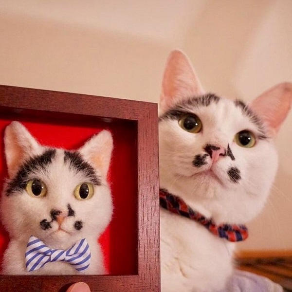 تابلوهای برجسته از گربه ها 